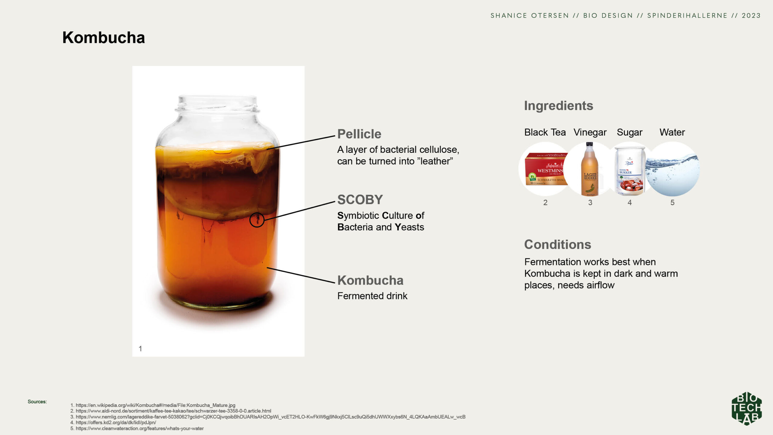 Presentation_biodesign10