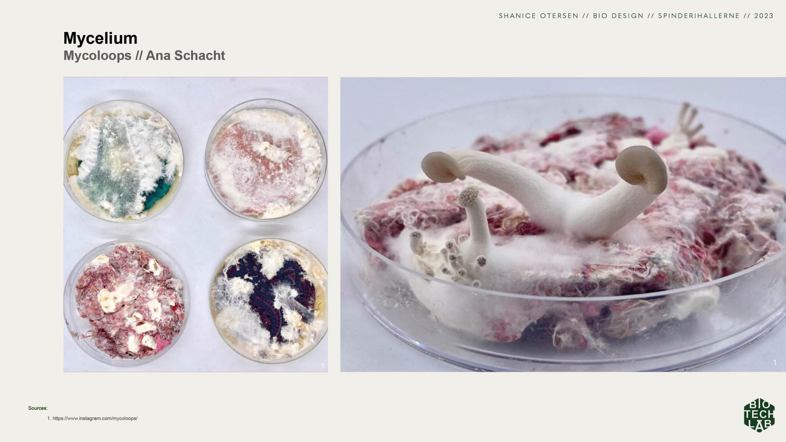 Presentation_biodesign19