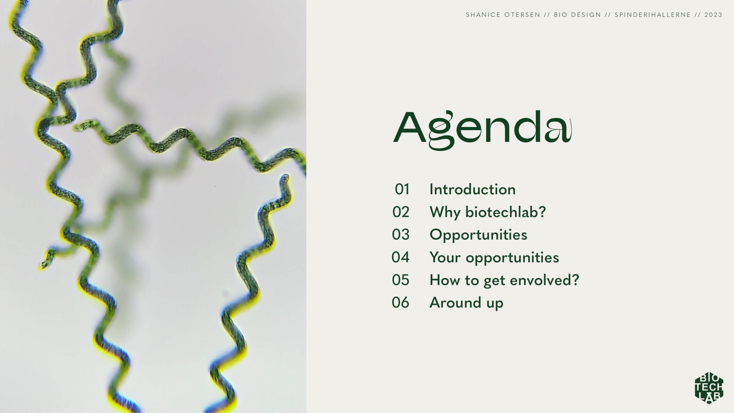 Presentation_biodesign2